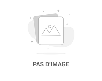 formation-de-559-moniteurs-auto-ecole